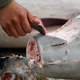 A wholesaler inspects frozen tuna before the first auction of the year. (EPA/Franck Robichon)